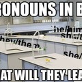 Pronouns in bio