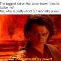 I tried to edit the meme so that Anakin would have multiple chins, but I suck at editing