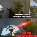 Shrek and Netflix meme