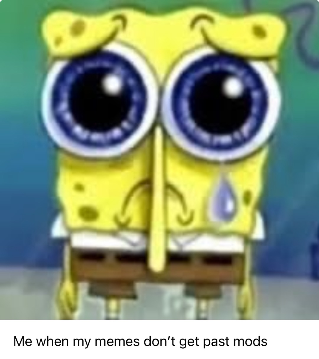 Funny SpongeBob memes. With Patrick, Squidward Tentacles and more