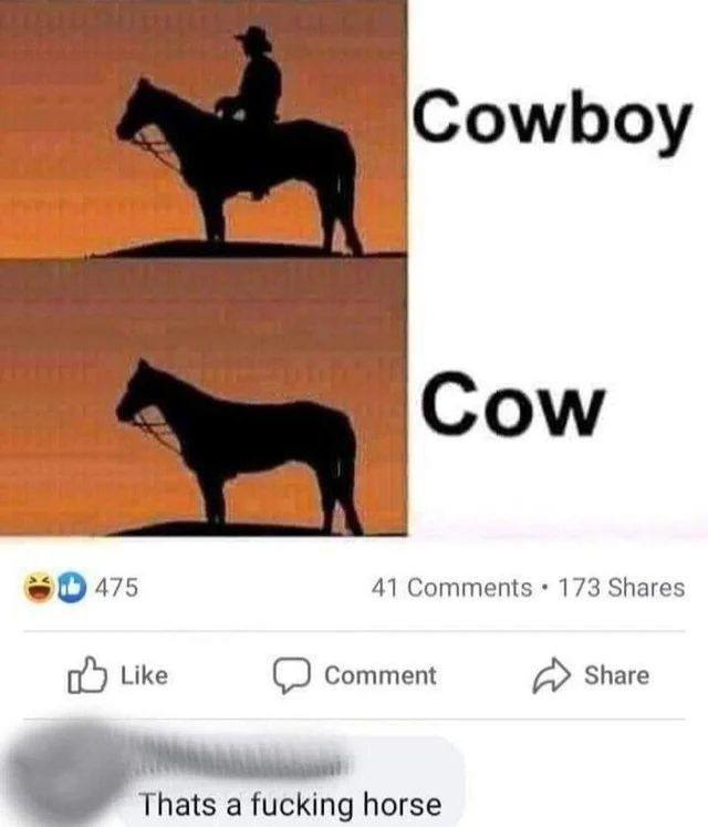 That’s not a cow bro that’s a horse - meme