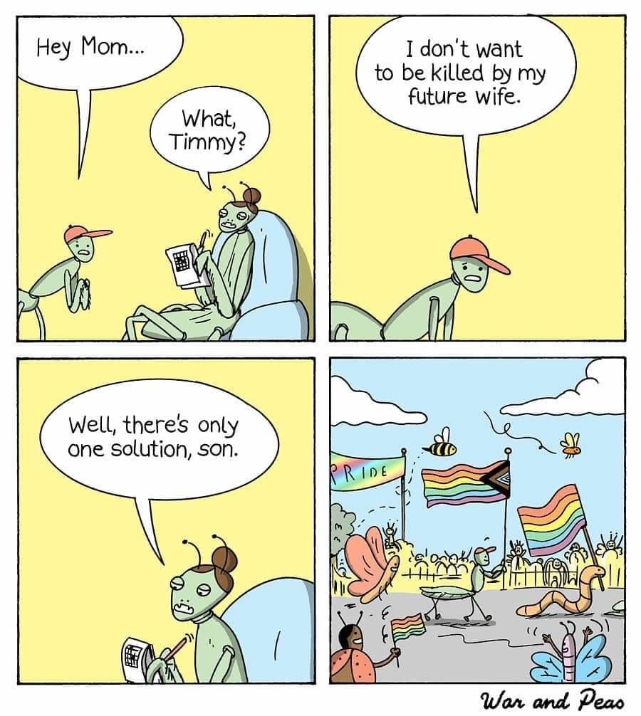 Not a nice one... - meme