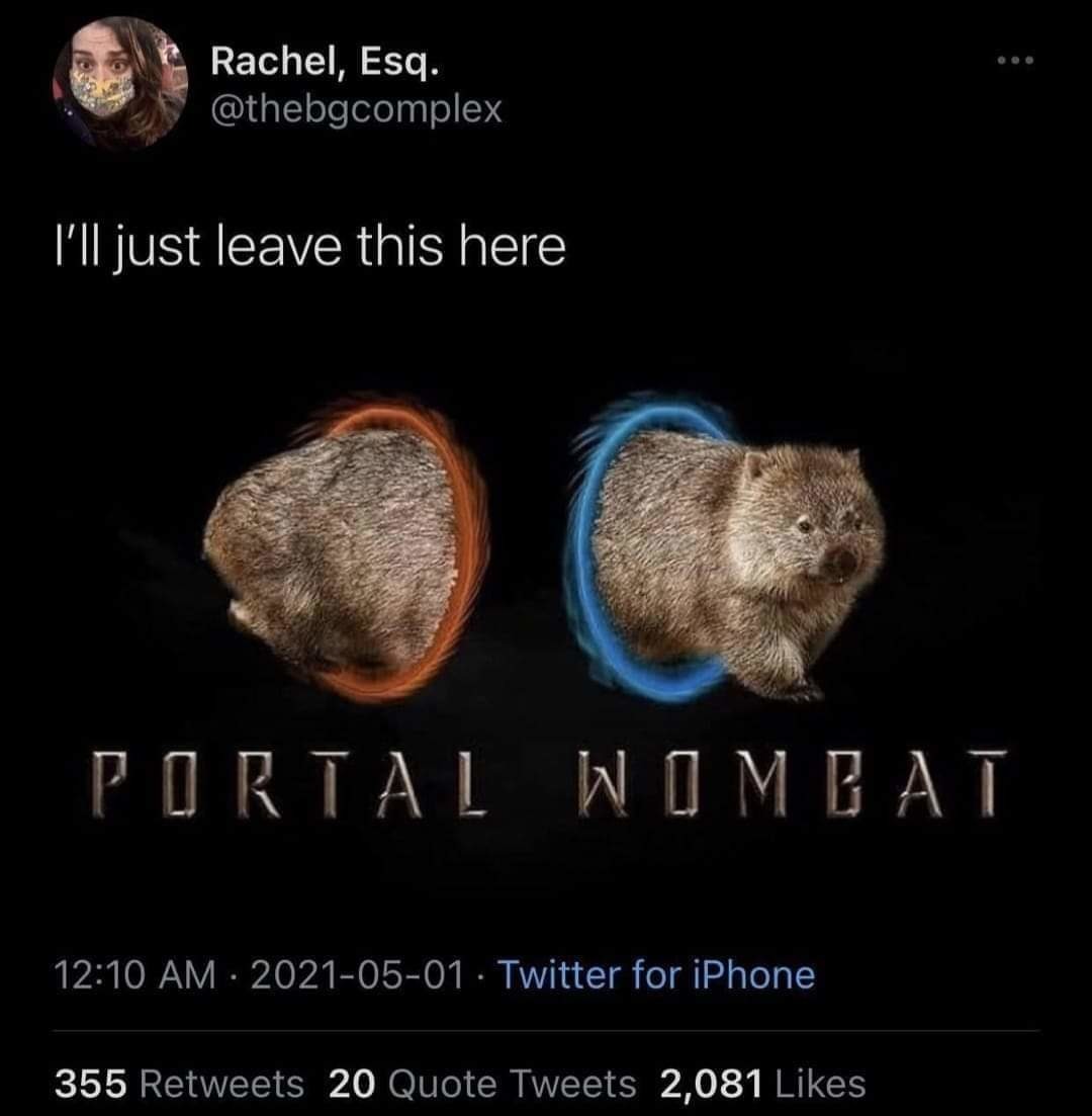 Portal Wombaaaaaaaat - meme
