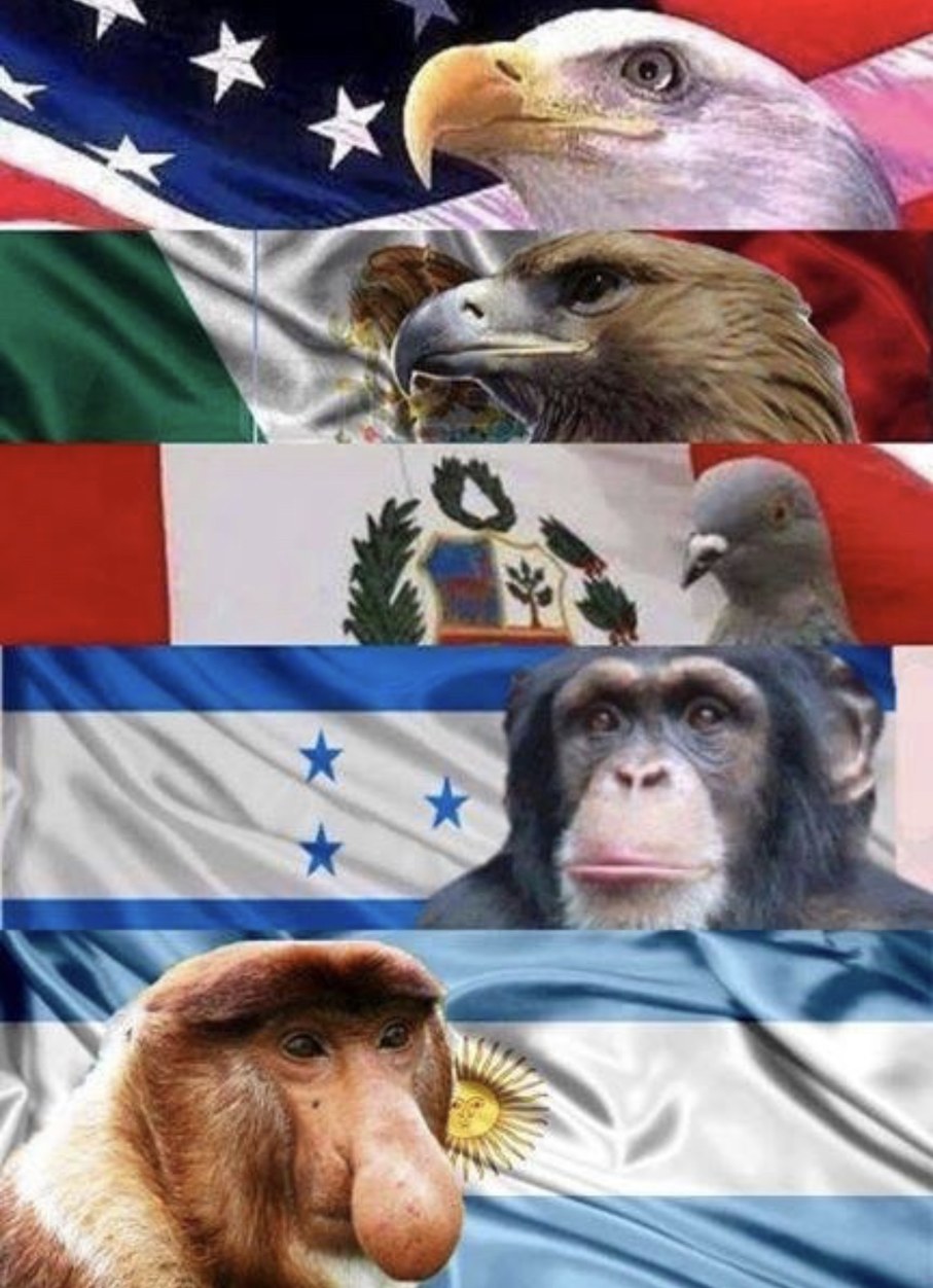 Hondureños y Argentinos Promedio - meme