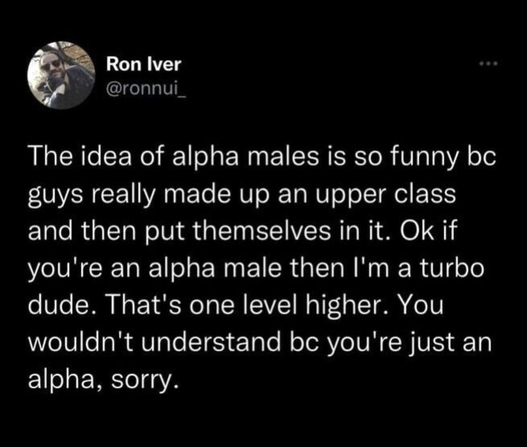I’m alpha-turbo dude. Top that! - meme