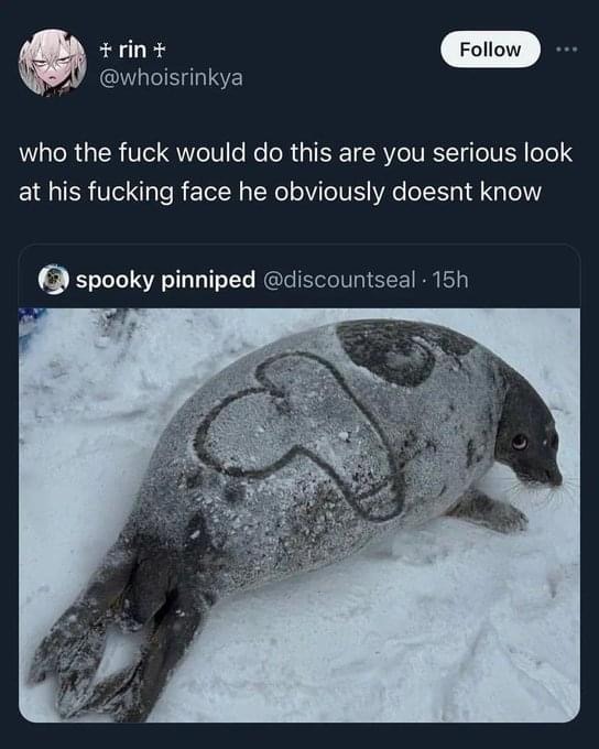 Dongs on a seal - meme