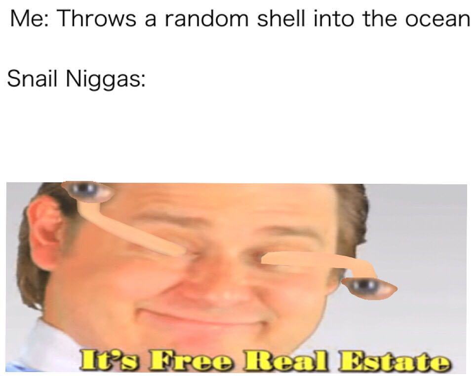 Snail niggas - meme