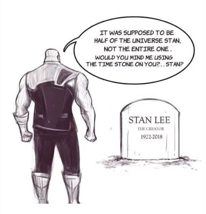 Use the time stone and bring back stan! - meme