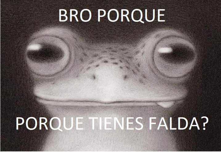 bro? - meme