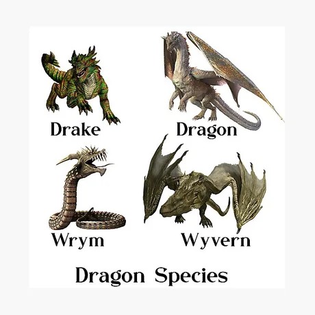 Dragon species - meme