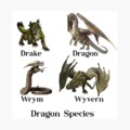 Dragon species