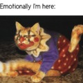 Clown cat meme