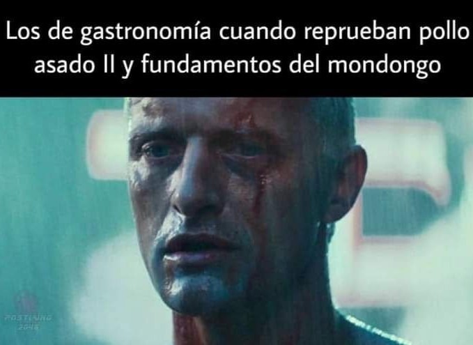 Señores suspendí salsa tártara - meme
