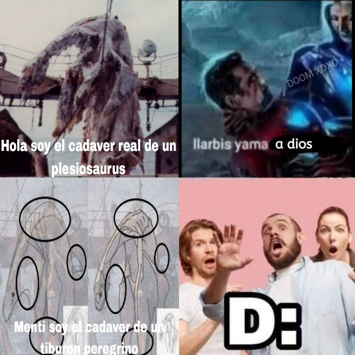 Contexto:un barco pesquero encontro lo que parecía ser el cadaver de un plesiosaurus,pero algunas pruebas demostraron que era un tiburón cuyo cadáver convenientemente quedó con ese aspecto - meme