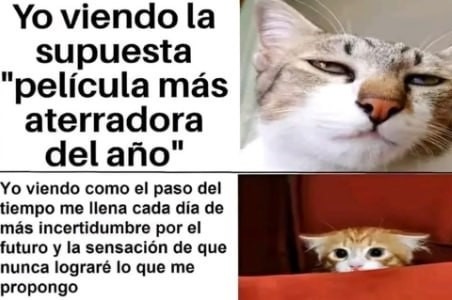 Peliculas de terror o desafíos de la vida y el futuro - meme