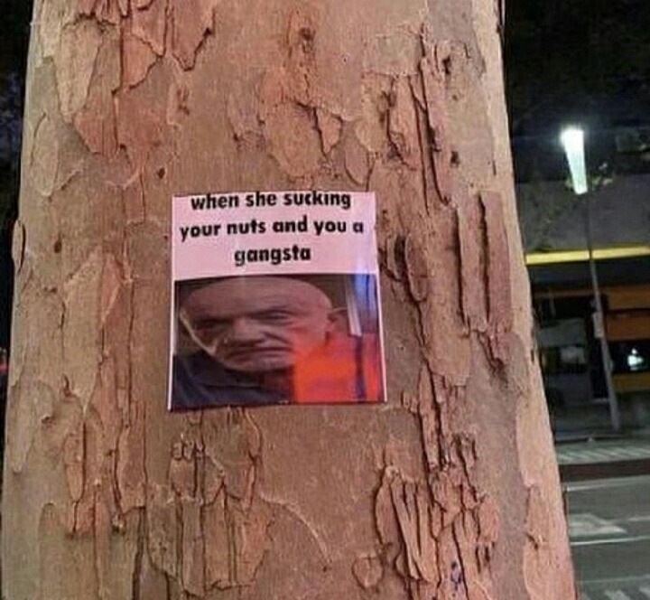 Tree - meme