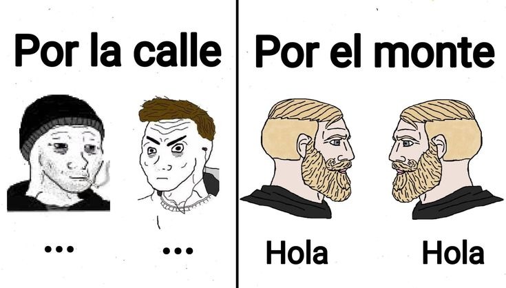 Hoal - meme