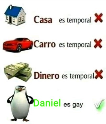 Daniel es gay - meme