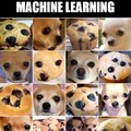 Confusing machine learning