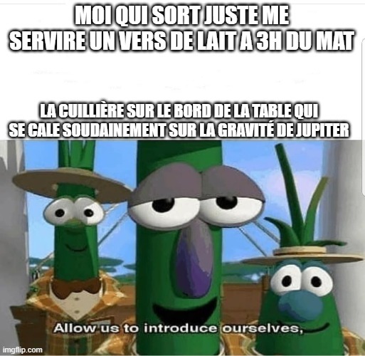 C'est mon premier meme , quelque un peut me presenter ce reseaux histoire que je m'y retrouve un peux (genre par exemple Yoshi la victime)