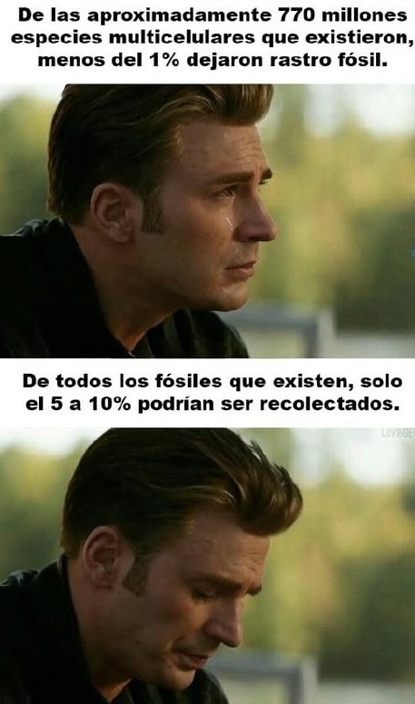 Menos del 1% de especies dejaron fósiles, el resto se fue como si nada - meme