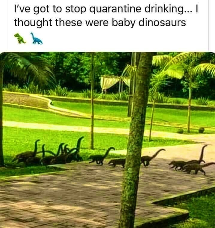 Dinosaurs, - meme