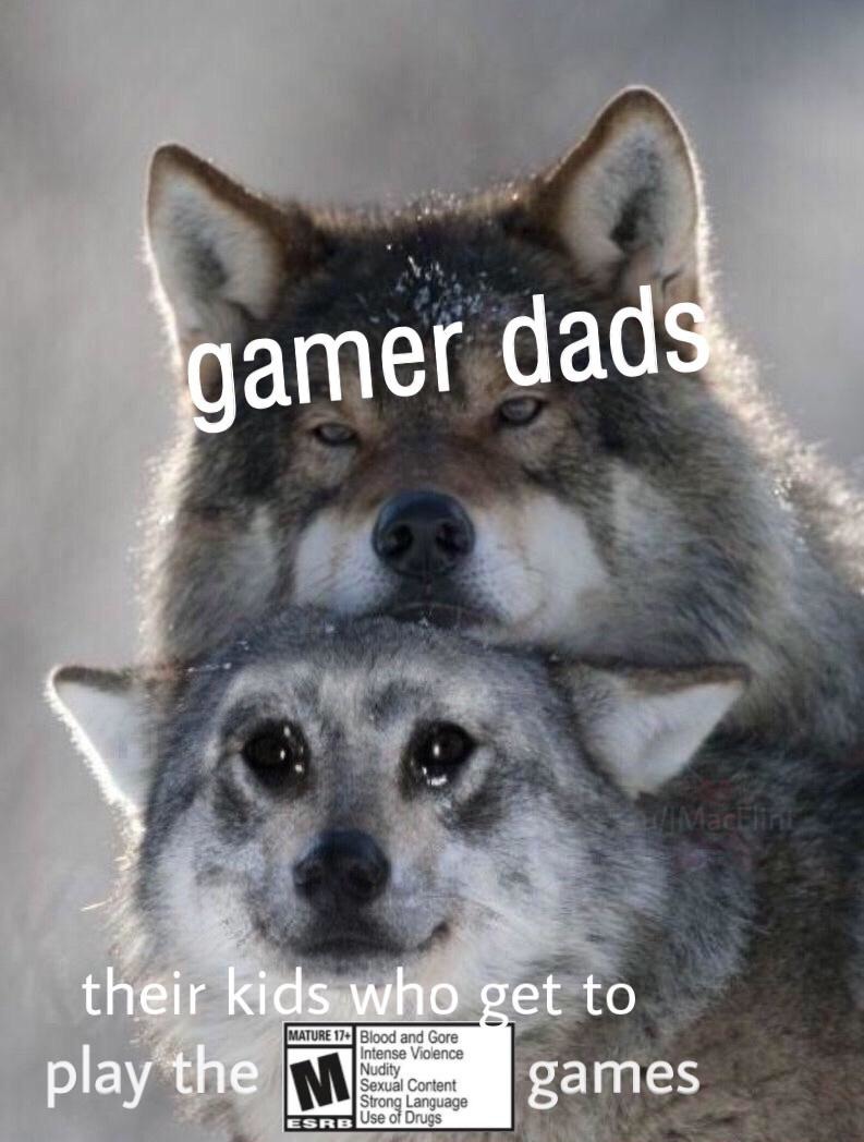 Gamer dads - meme