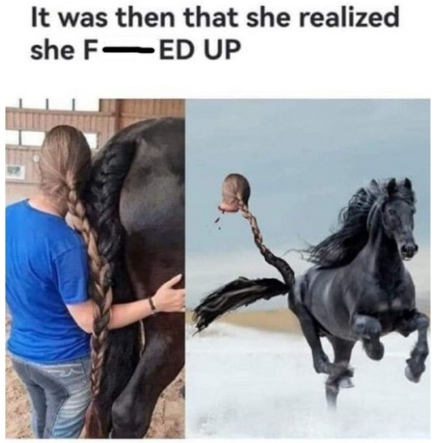 Horse go neigh - meme