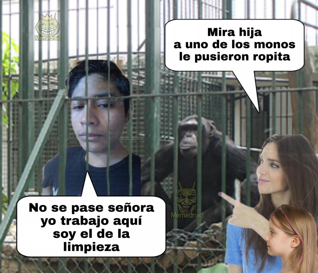 Visita al zoológico - meme