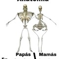 Anatomia pixar