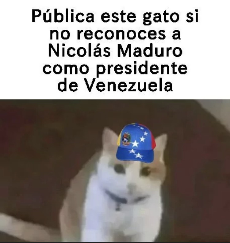Favor de repostear - meme
