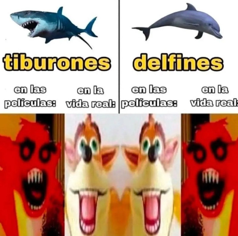 Tiburones vs delfines - meme
