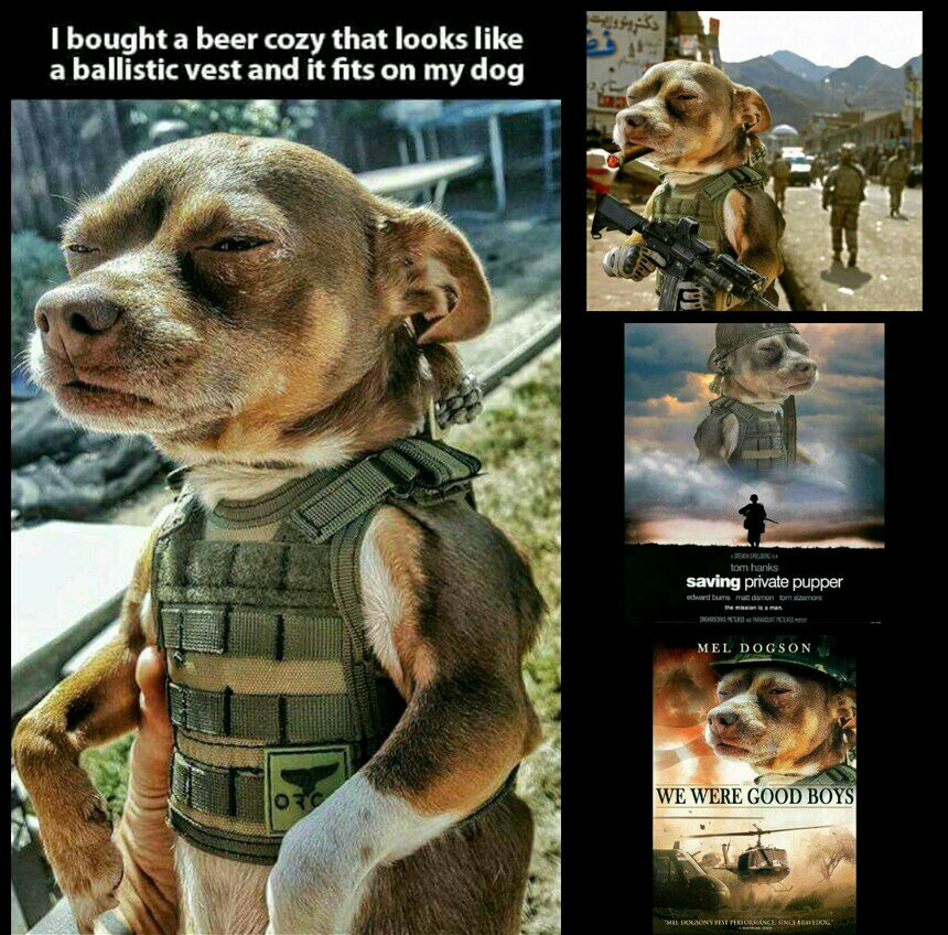 Saving Private Pupper - meme