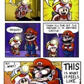poor toad. true hero of Super Mario Bros