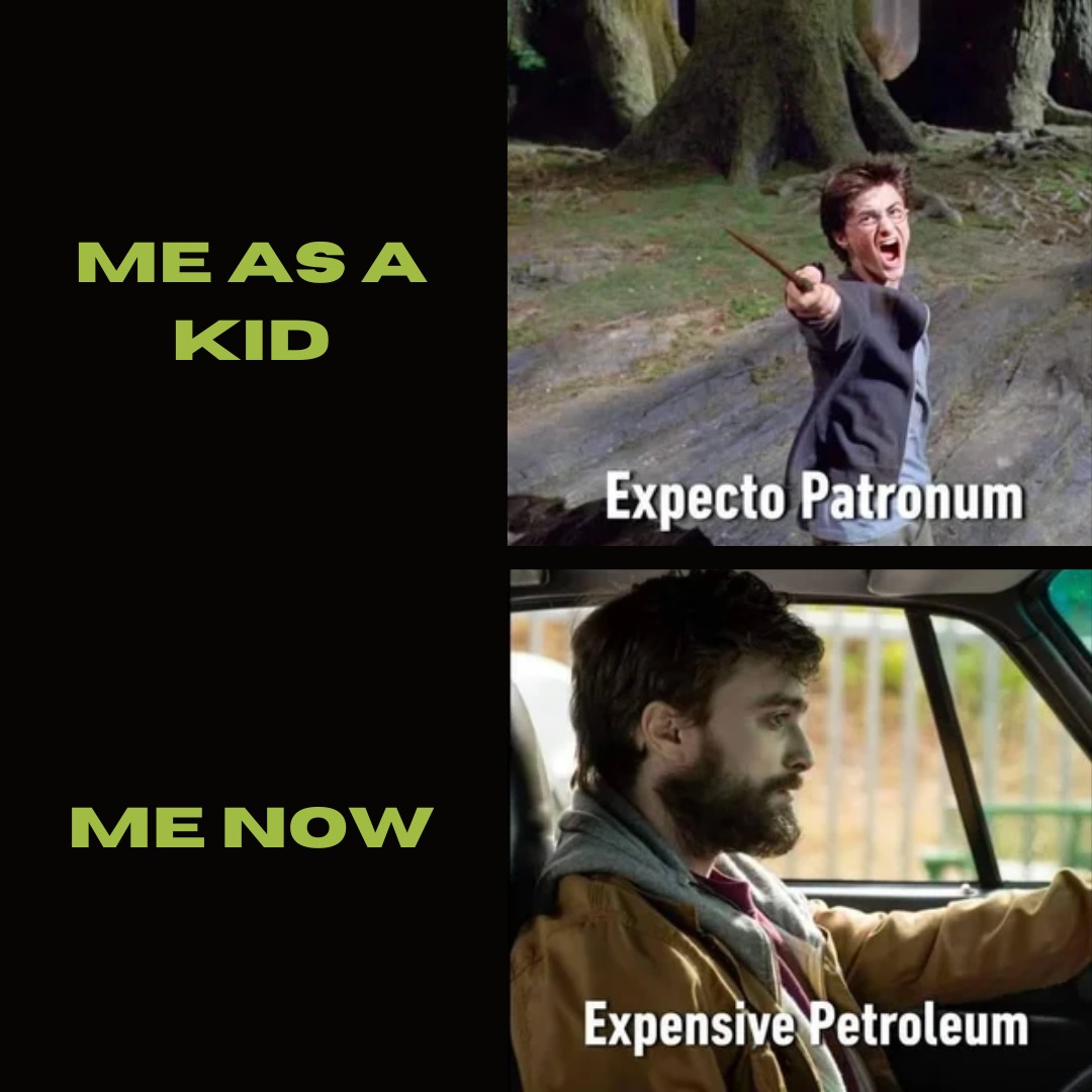 Me as a kid vs me as an adult - meme
