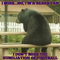 Bear fans rn