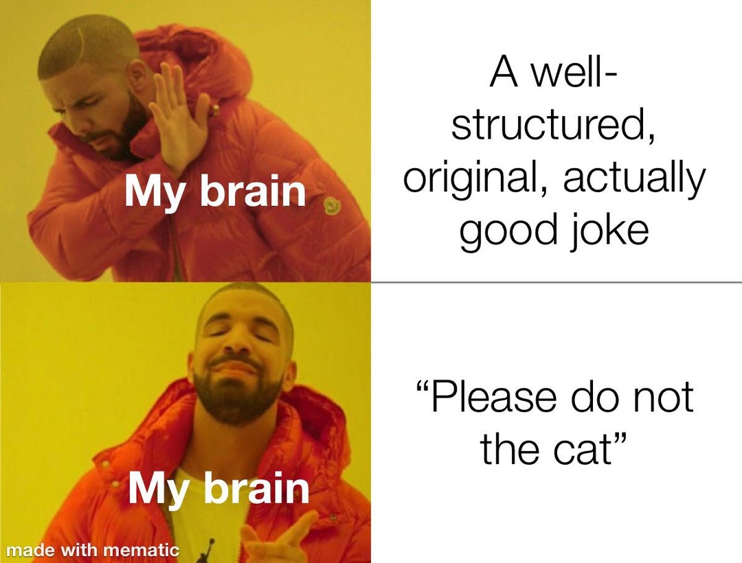 Please do not the cat - meme