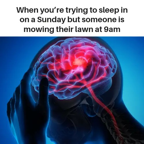 You gotta love that person, waking up at the crack of dawn to be a pain in their neighbor's asses - meme