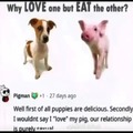 pigs are kinda hot