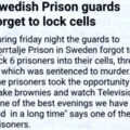 Swedish Prison guards forget to lock cells