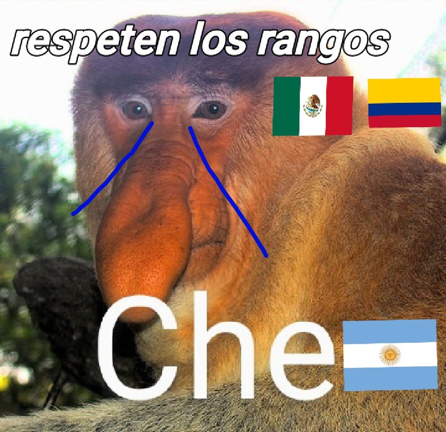 Respeten los rangos - meme