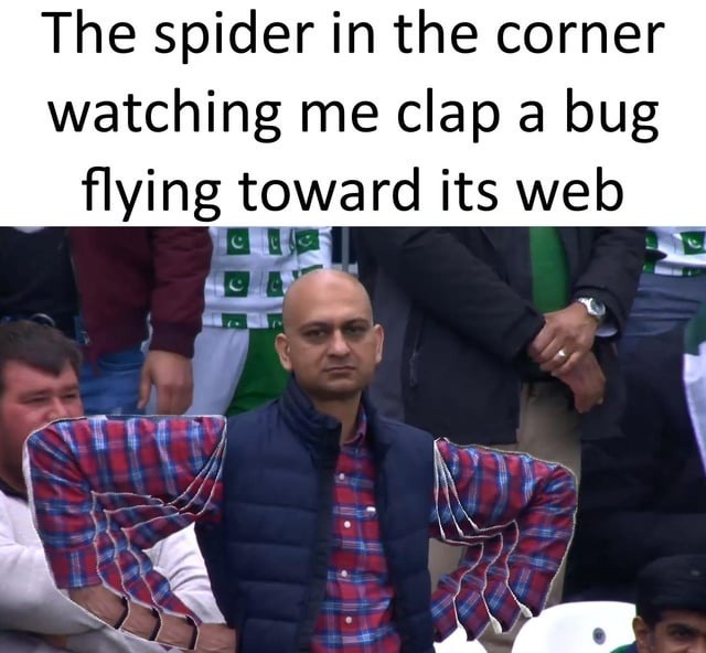 Spider watching me clap a fly like we’re coworkers now - meme