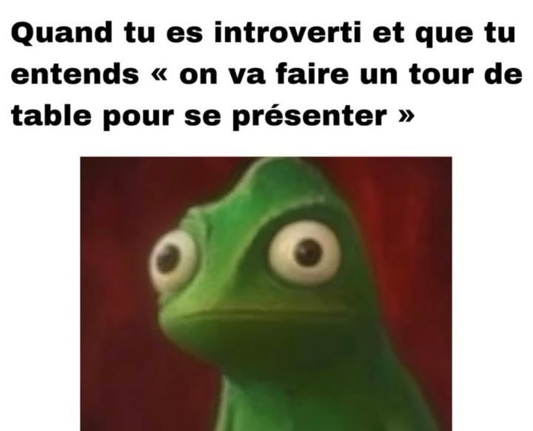 quand t’es ultra introverti et qu’on te dit ‘on fait un tour de table’ en réunion - meme