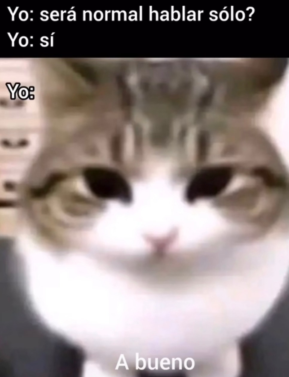 Hablar solo es raro? Yo: no. Yo: gracias bro. Yo: de nada - meme