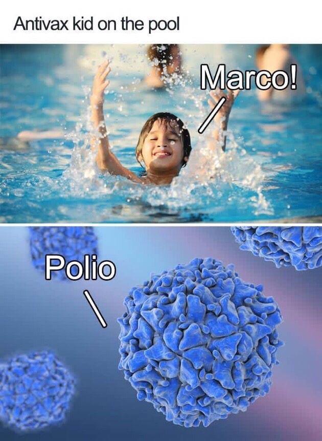 Marco Polio! - meme
