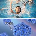 Marco Polio!