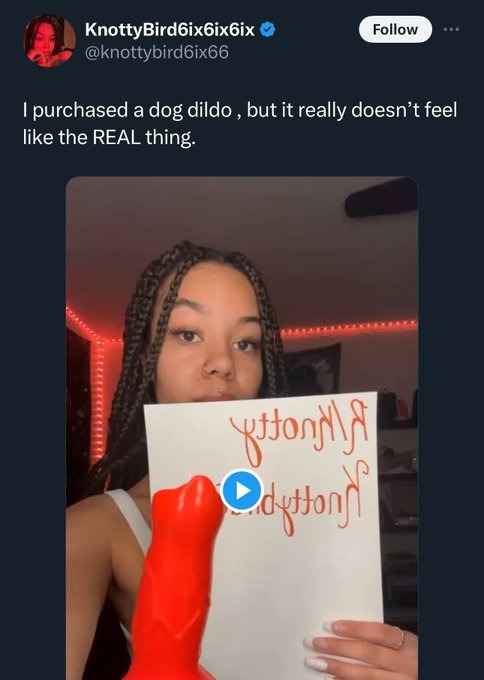 Why does she know what the real thing feels like? Dogs are seriously being abused, we need a dogginist association - meme