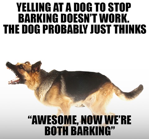 Bork, Bork, Bork! - meme