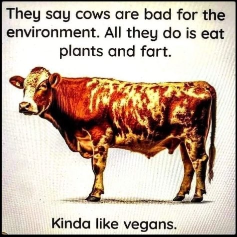 Cow farts = Vegans - meme