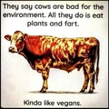 Cow farts = Vegans
